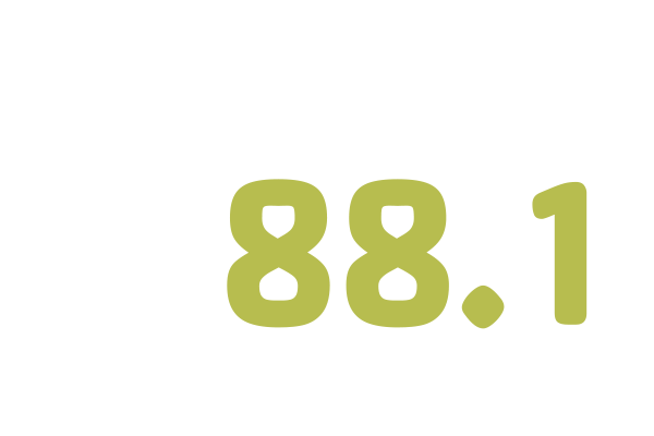 WDIY Logo